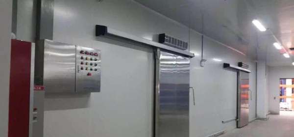 葡萄冷库保鲜储存方法,葡萄如何进行冷库贮藏保存图7