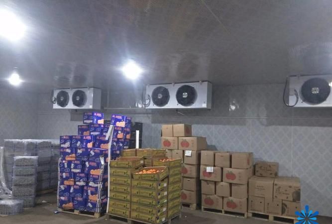 葡萄贮藏保鲜技术及系列加工技术