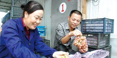 葡萄冷库保鲜储存方法,葡萄如何进行冷库贮藏保存图4