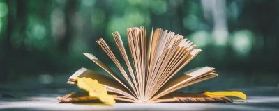 ​好看的皮囊千篇一律有趣的灵魂万里挑一是什么意思