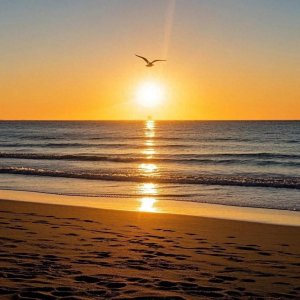 ​微信头像｜手机壁纸，无拘无束的大海蓝天，海鸥飞翔！