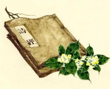 ​“不稂不莠”是什么意思？