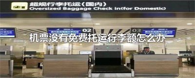 ​买的机票没有免费托运额,行李怎么托运 航班没有免费托运行李额怎么办