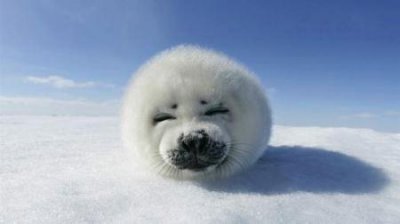 ​宜昌周边自驾野炊好去处郊外公园绿荫环抱