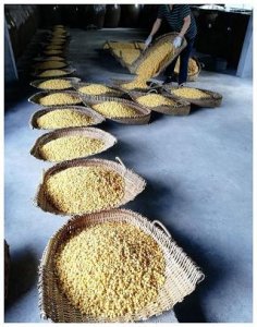 ​喝葡萄酒时应该注意的礼仪(喝葡萄酒有什么好处)