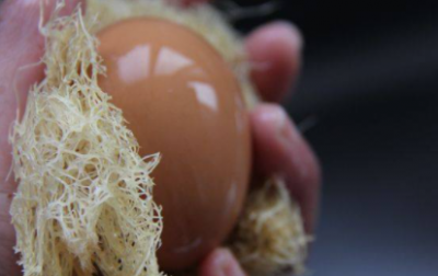 ​水煮鸡蛋要煮多久,水煮鸡蛋一般煮几分钟