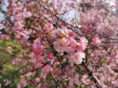 ​五粮液荣华富贵3l(五粮液华彩人生荣华富贵52度礼盒装多少钱)