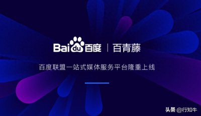 ​百青藤项目年入30万，实战解析推广策略