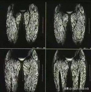 ​43张--诡异至极的照片，惊悚的让你尖叫！