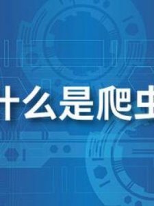 ​爬虫技术是什么(爬虫技术难学吗)