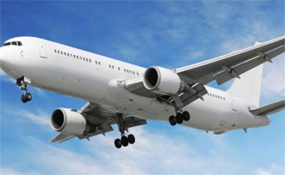 ​乘客忘带手机飞机返回延误90分钟 是否侵犯其他乘客利益？