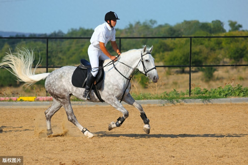 「历史图片」图说马镫，小物件成就古代骑兵作战的革命性转折