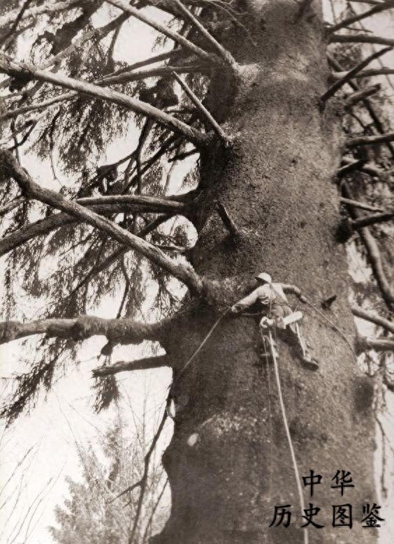 一组罕见的历史老照片：图二是神秘的“类人猿”，图七的穿着亮了