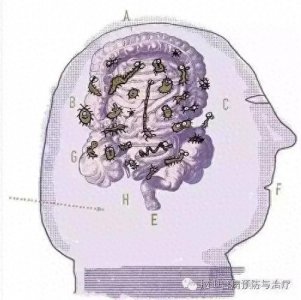 ​脑满肠肥之辩证