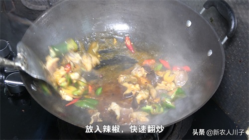 网上买的猫眼螺肉怎么做？拿来做辣炒，一人能吃一大盘