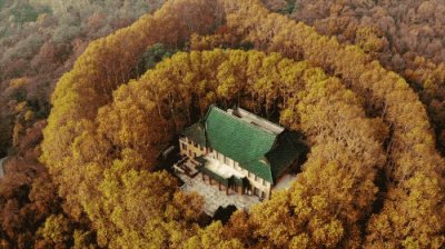 ​美龄宫丨一缕历史的余香