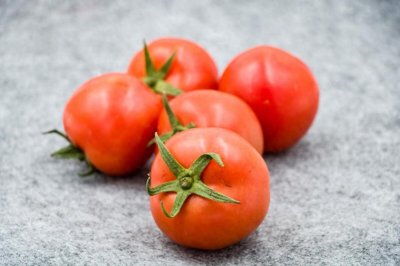 ​种植西红柿出现枯萎病应怎么处理？有哪些防治措施？