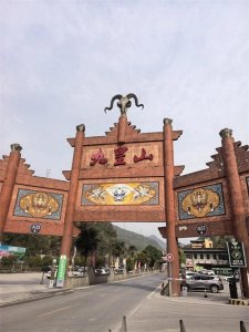 ​九皇山上看辛荑花