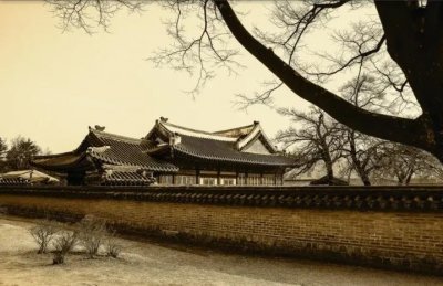 ​青瓦台的前世今生