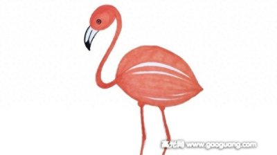 ​火烈鸟简笔画画法，火烈鸟简笔画教程