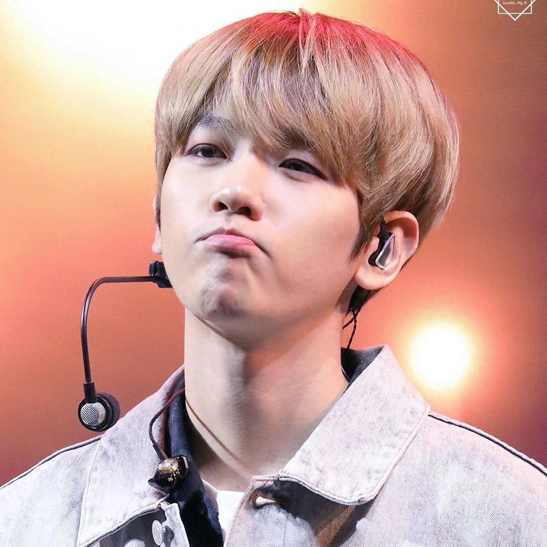 EXO 伯贤为什么叫“啵啵虎”？