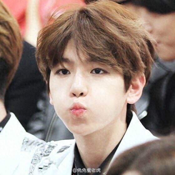 EXO 伯贤为什么叫“啵啵虎”？