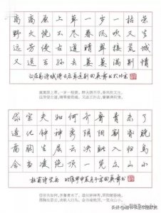 ​田英章硬笔行书作品欣赏，潇洒飘逸