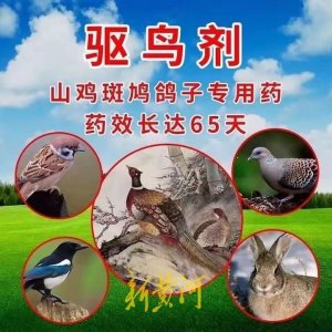 ​“我经常吃扁毛霜药死的野鸡，没事吧？”禁用剧毒药扁毛霜再现电商平台，生产