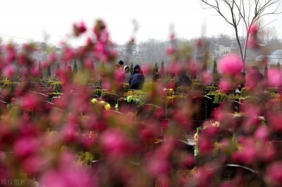 ​父母去世后遗像长期放家里合适吗？有这么几点需要注意