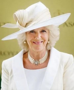 ​戴妃的宿敌卡米拉王妃，饱受争议的英王室成员