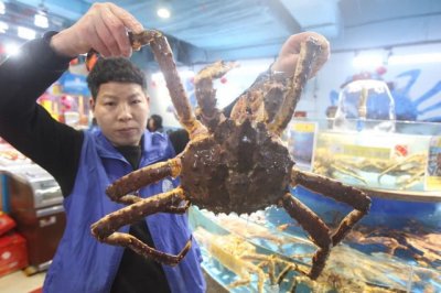 ​走访郑州海鲜市场：每斤258元的帝王蟹，春节前一个月能卖50吨