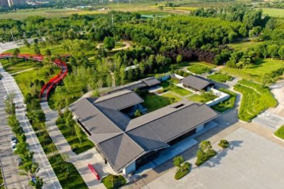 ​从牢狱到皇位：汉宣帝刘询的传奇人生与幽默秘闻？