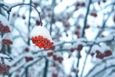 ​腊月十七晴，遍地起新坟，明日腊月17，晴天有啥说法？