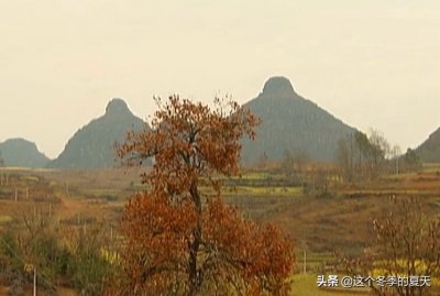 ​神奇的双乳峰