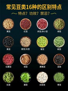 ​常见16种豆类的区别及特点