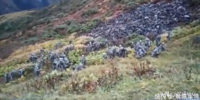 ​说说中国和印度最近的冲突