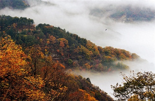 大别山主峰景区位于安徽，素以雄、奇、险、幽而闻名于世