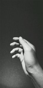 ​多彩壁纸156期｜8张黑白系列手机壁纸