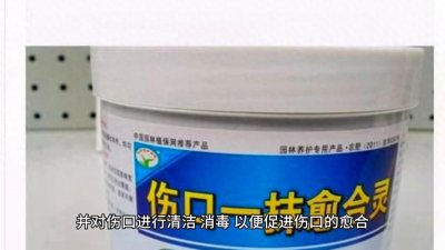 ​科普|关于伤口的愈合全过程，你了解多少？