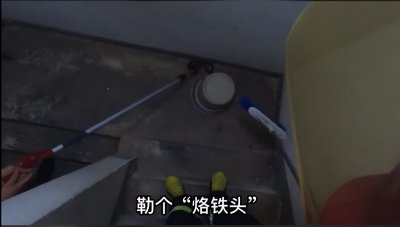 ​重庆一居民家惊现剧毒烙铁头，为国家保护动物，这蛇有多毒？