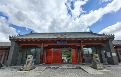 ​九龙松——天下第一奇松