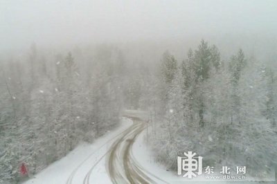 ​美极了！漠河“鹅毛大雪”迎霜降（图）