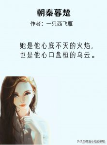 ​渣女文 一只西飞雁《曾照云归》绿药《她迷人又危险》想做海王