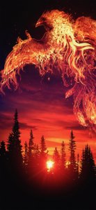 ​高清壁纸（465）：神兽录～朱雀