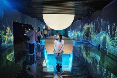 ​《一蓑烟雨·苏轼》：数字艺术展带你穿越千年，感受宋代文化魅力