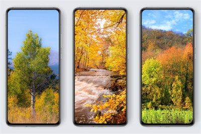 ​原图壁纸欣赏：色彩缤纷的秋日森林