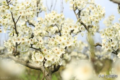 ​7个“新”字头的成语