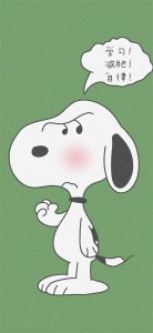 ​史努比和查理布朗壁纸合集