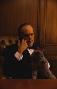 ​神似！“盆栽哥”模仿《教父》马龙·白兰度造型