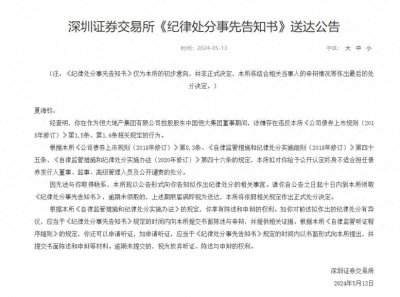 ​深交所公开谴责夏海钧！